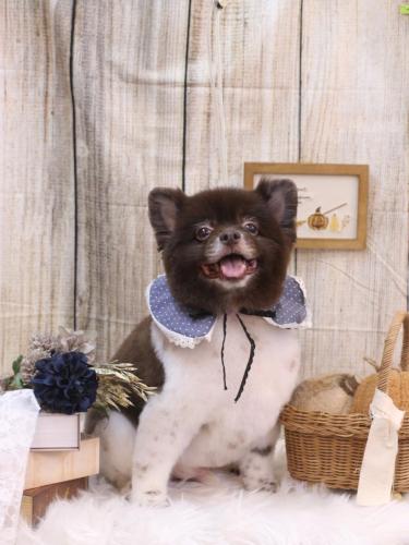 20241024太郎くん